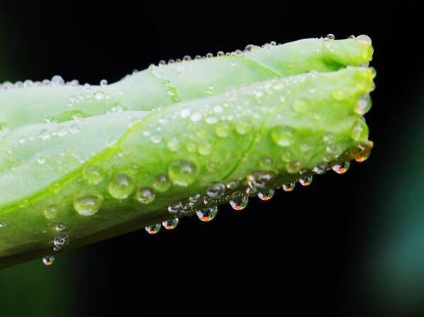 金刚般若波罗蜜经论（天亲造）全文