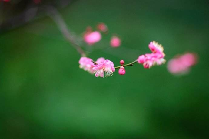 菩提行经全文 第三卷