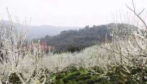 湖南绥宁县千年古刹—高台寺